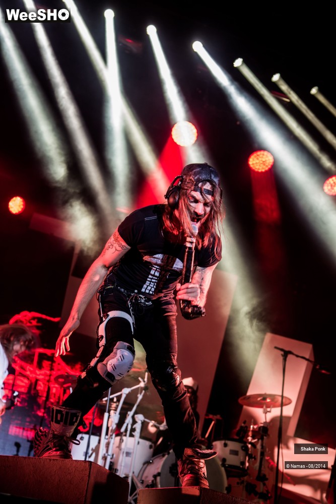 5/42 photos du spectacle Shaka Ponk