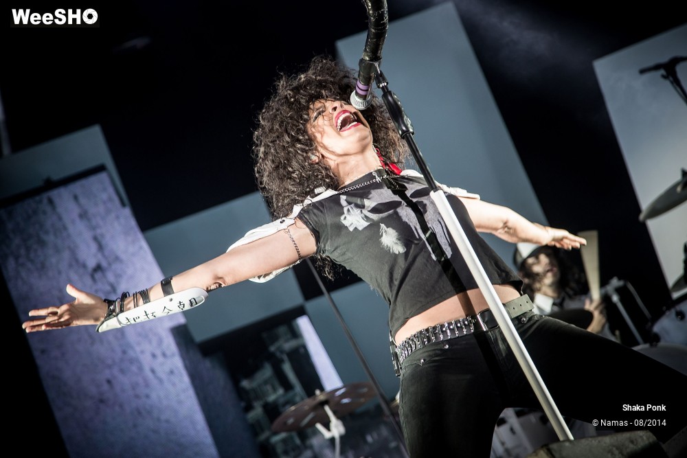 7/42 photos du spectacle Shaka Ponk