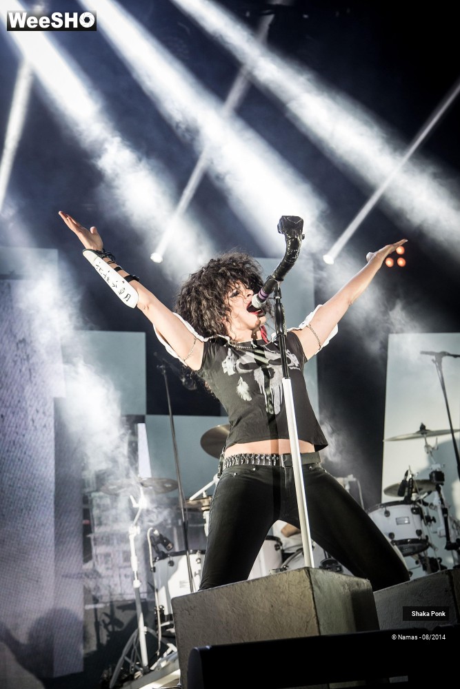 13/42 photos du spectacle Shaka Ponk