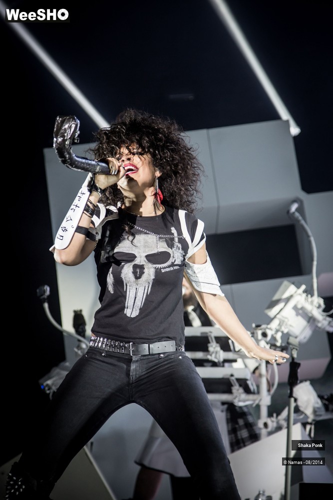 17/42 photos du spectacle Shaka Ponk