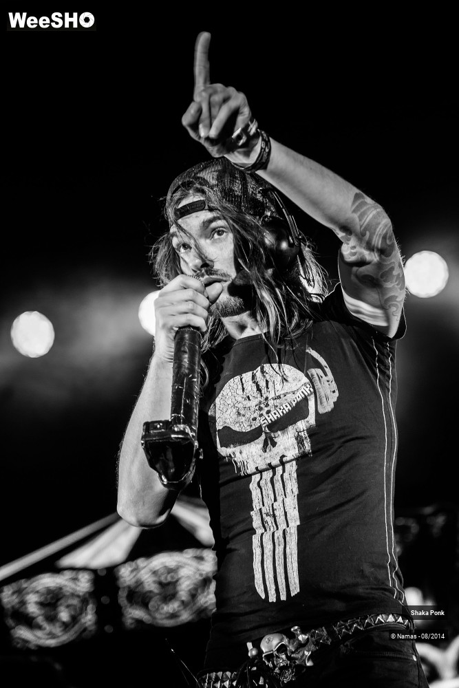 19/42 photos du spectacle Shaka Ponk