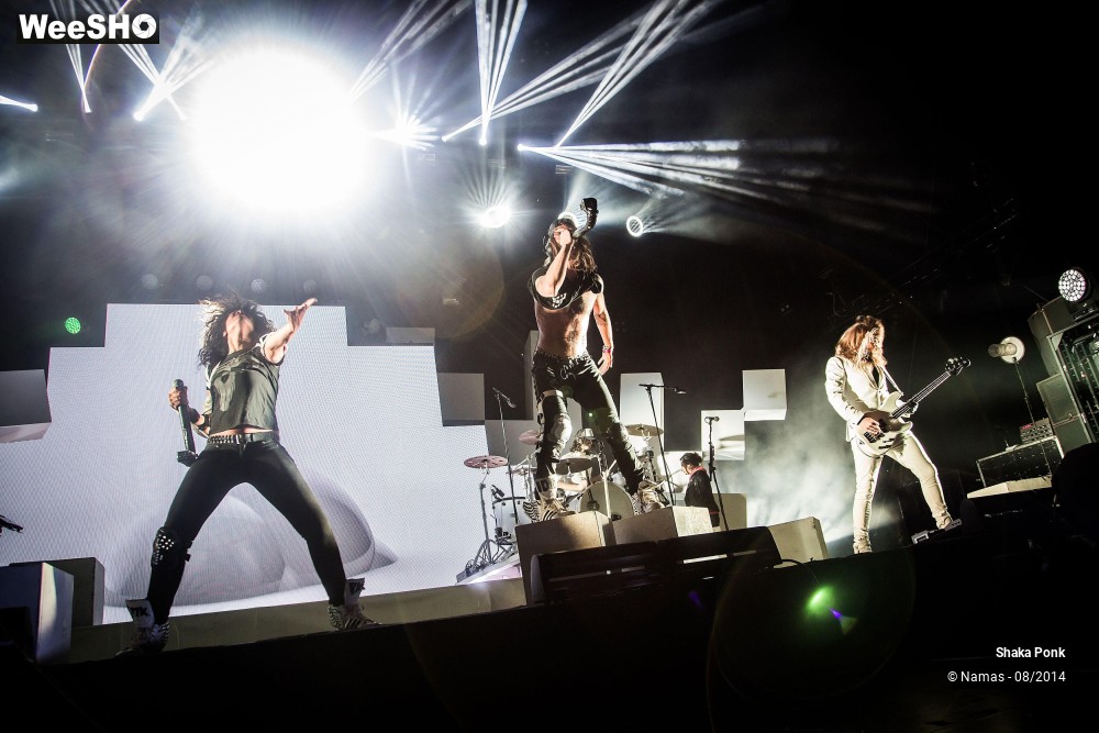 20/42 photos du spectacle Shaka Ponk