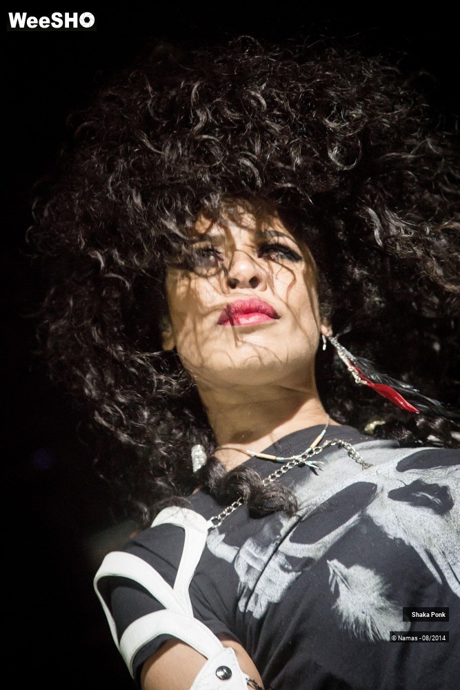 25/42 photos du spectacle Shaka Ponk