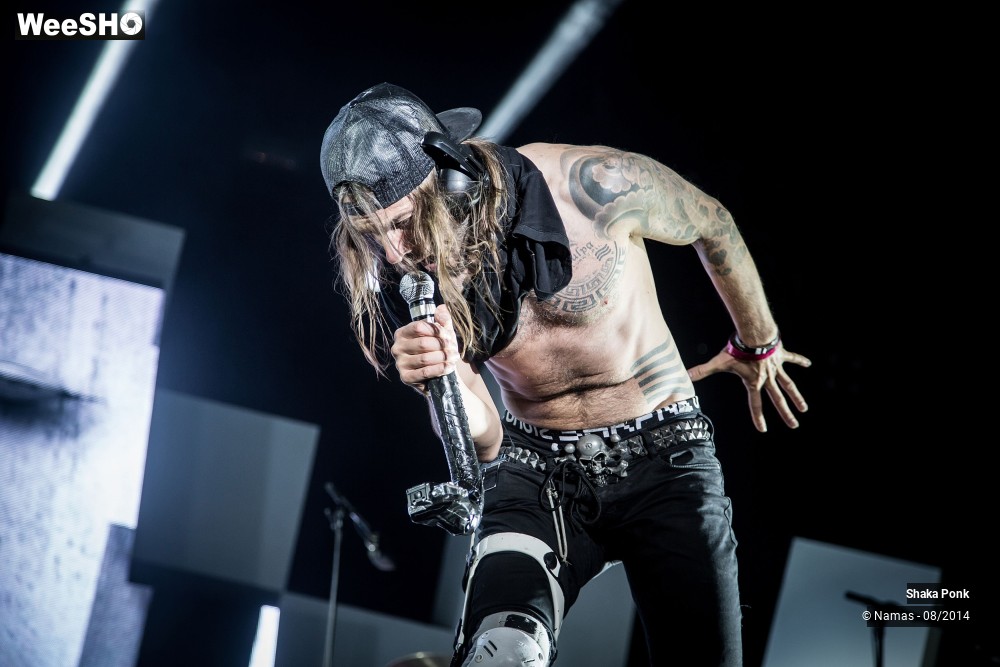 26/42 photos du spectacle Shaka Ponk