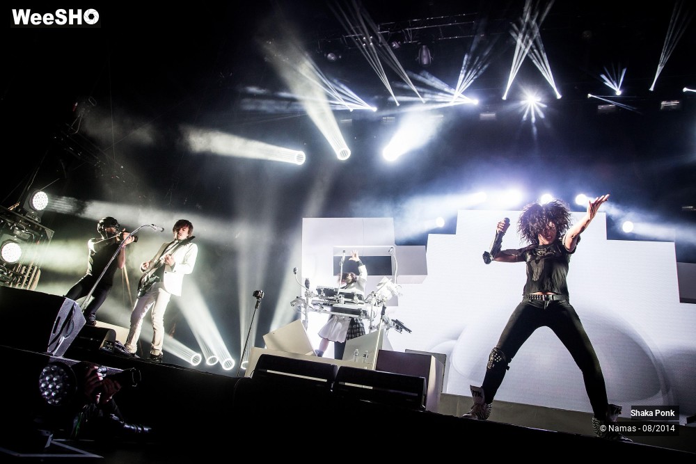 27/42 photos du spectacle Shaka Ponk