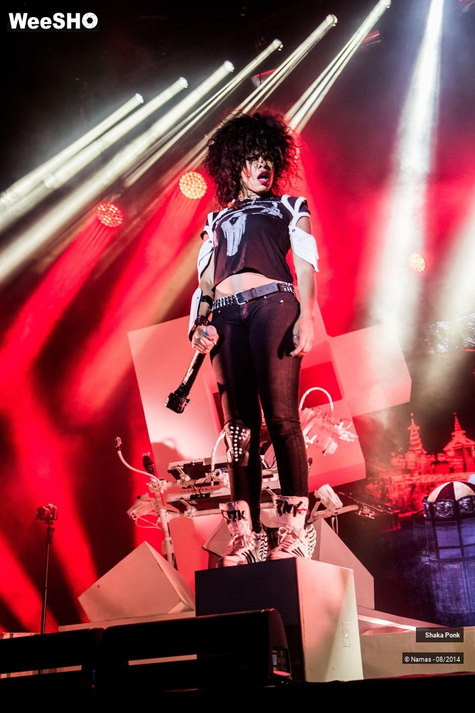 28/42 photos du spectacle Shaka Ponk