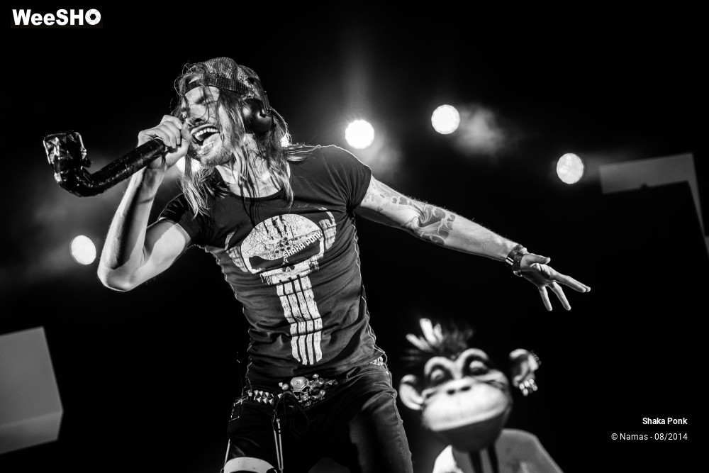 29/42 photos du spectacle Shaka Ponk