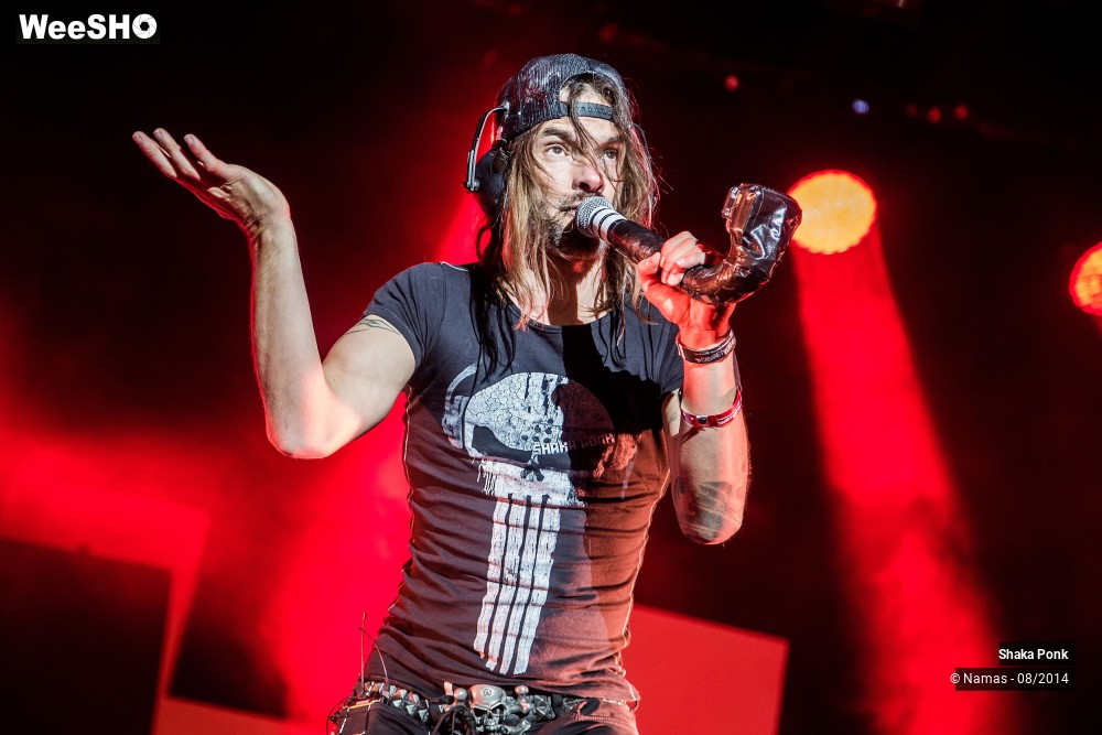 30/42 photos du spectacle Shaka Ponk