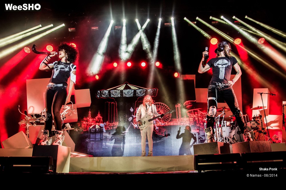 31/42 photos du spectacle Shaka Ponk