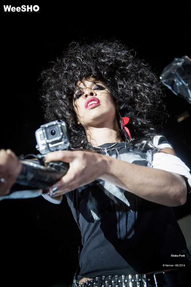 34/42 photos du spectacle Shaka Ponk