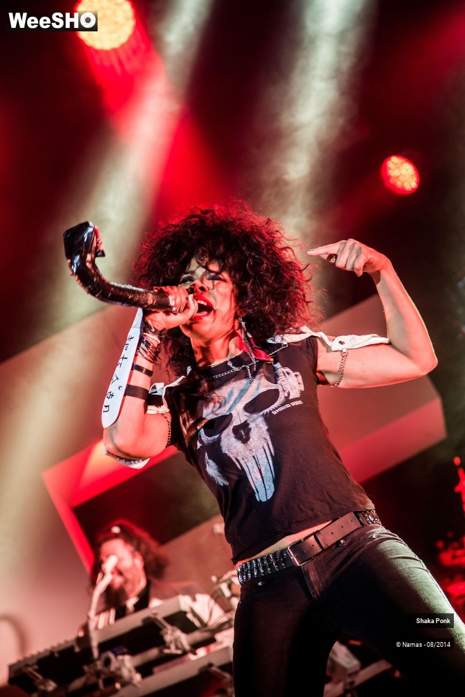 36/42 photos du spectacle Shaka Ponk