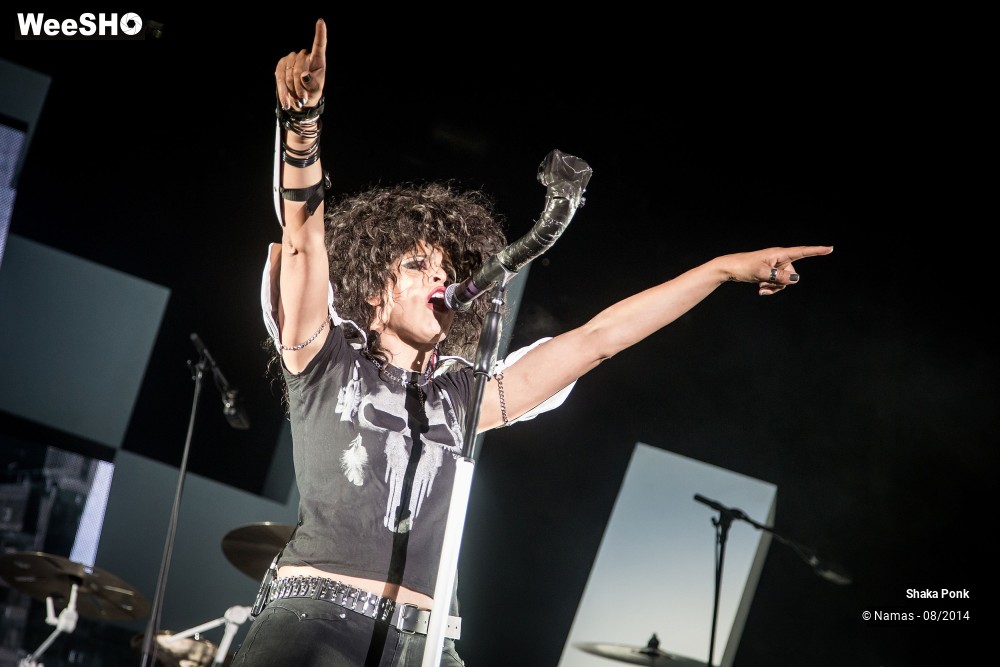 37/42 photos du spectacle Shaka Ponk