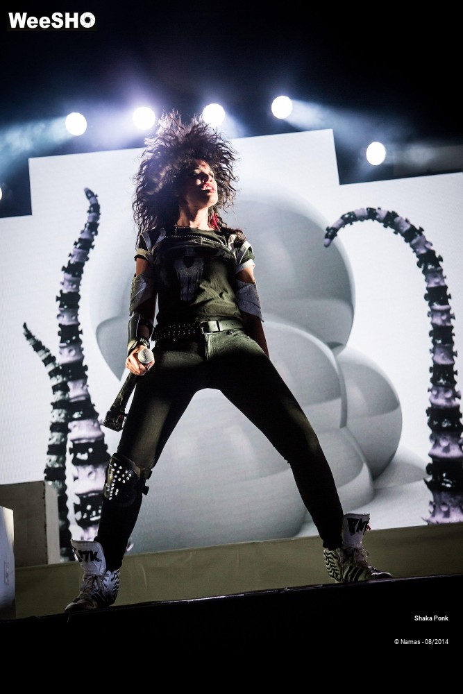 41/42 photos du spectacle Shaka Ponk