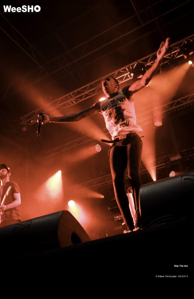 18/26 photos du spectacle Skip the use