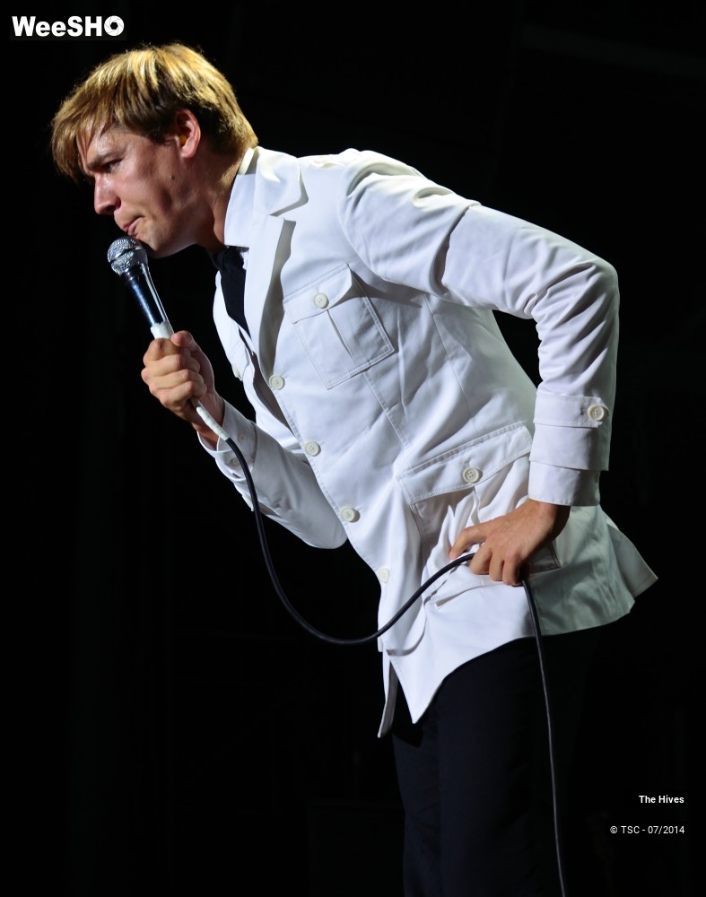 1/40 photos du spectacle The hives