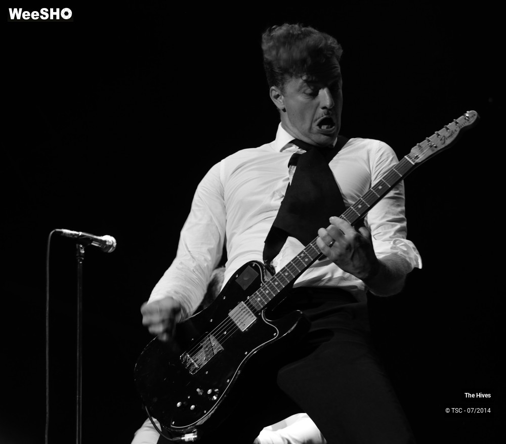 2/40 photos du spectacle The hives