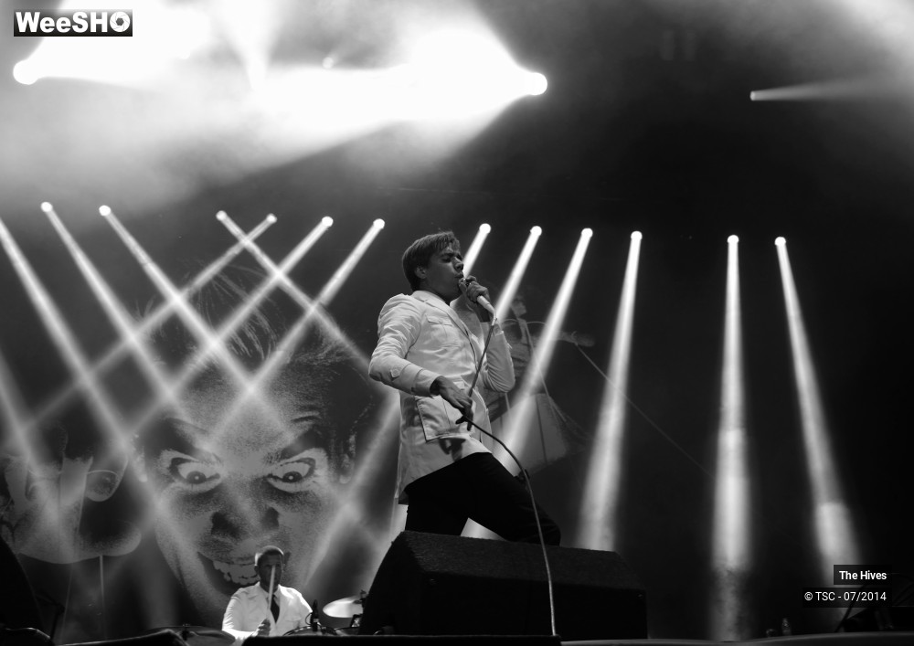 3/40 photos du spectacle The hives