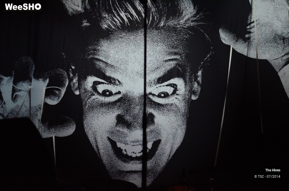 4/40 photos du spectacle The hives