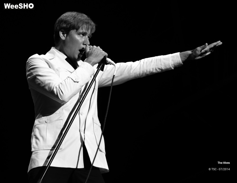 5/40 photos du spectacle The hives