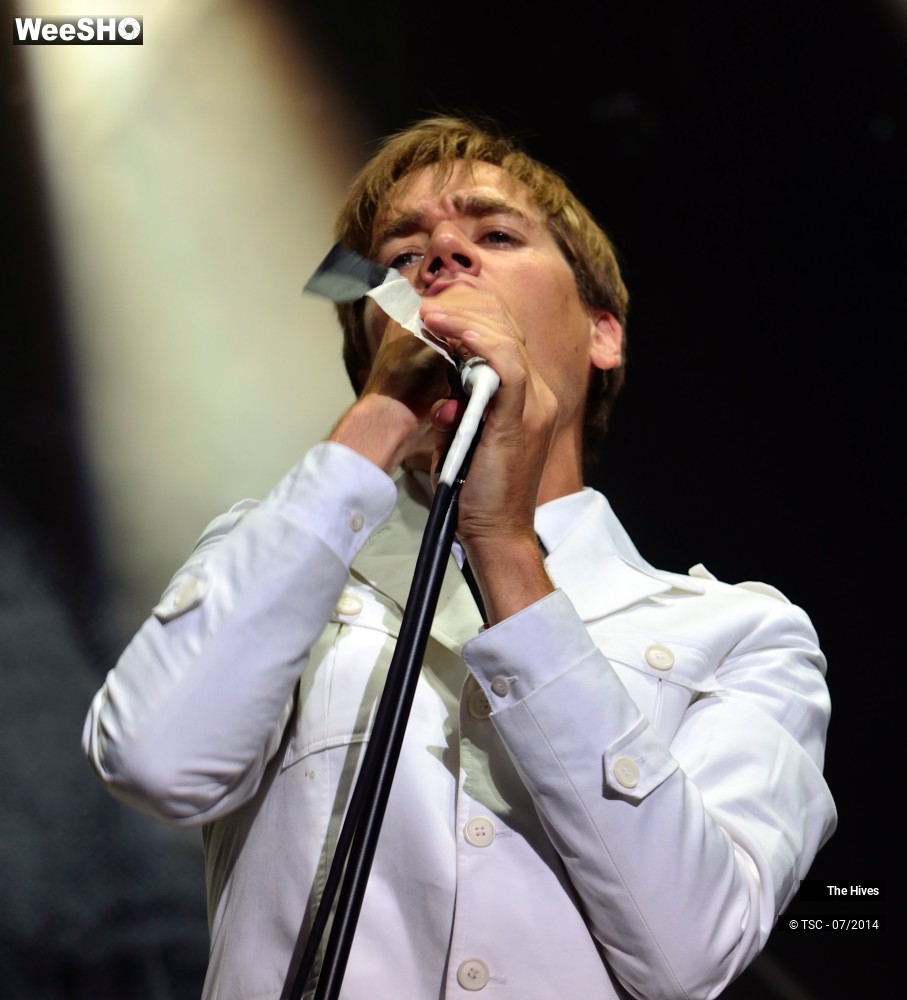 6/40 photos du spectacle The hives