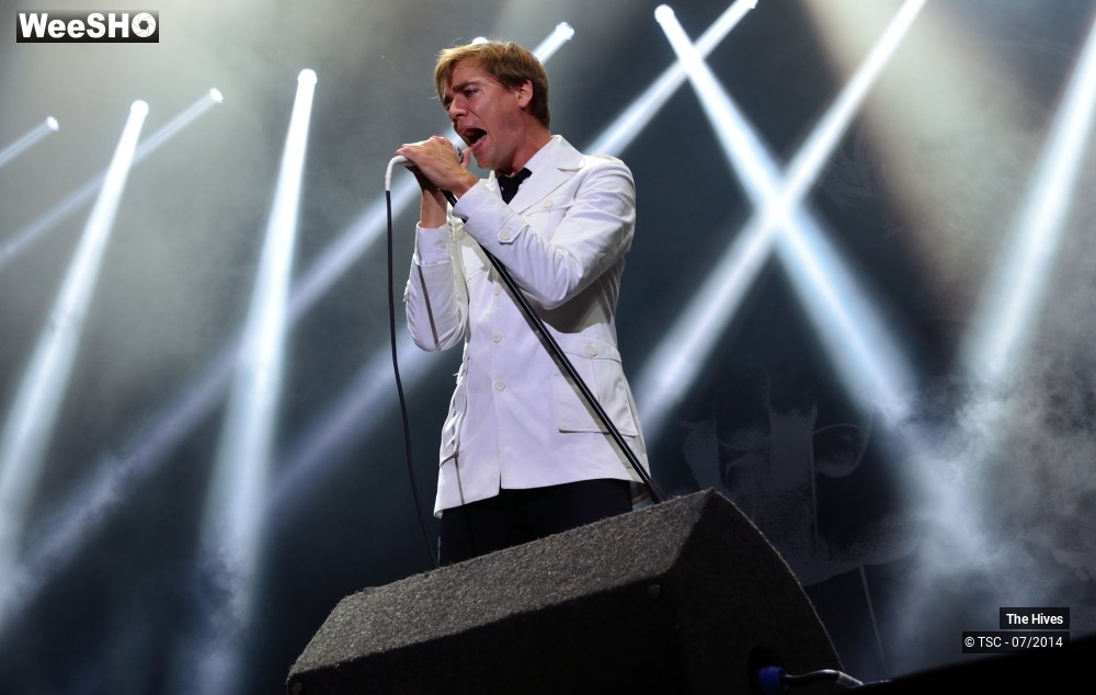 7/40 photos du spectacle The hives