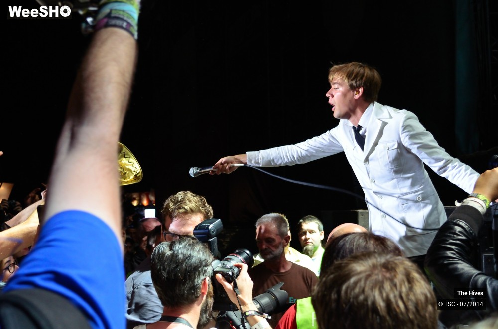 8/40 photos du spectacle The hives