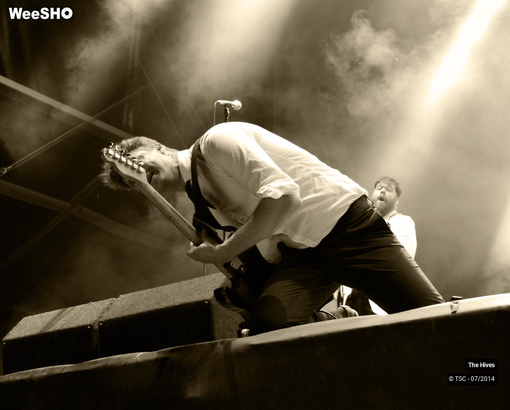 9/40 photos du spectacle The hives