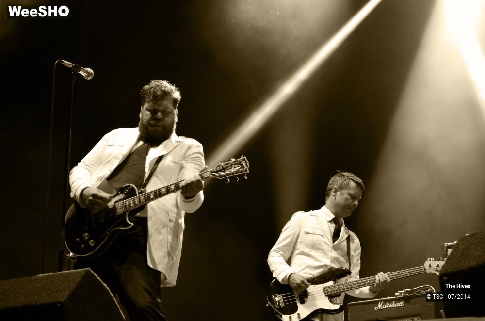 10/40 photos du spectacle The hives