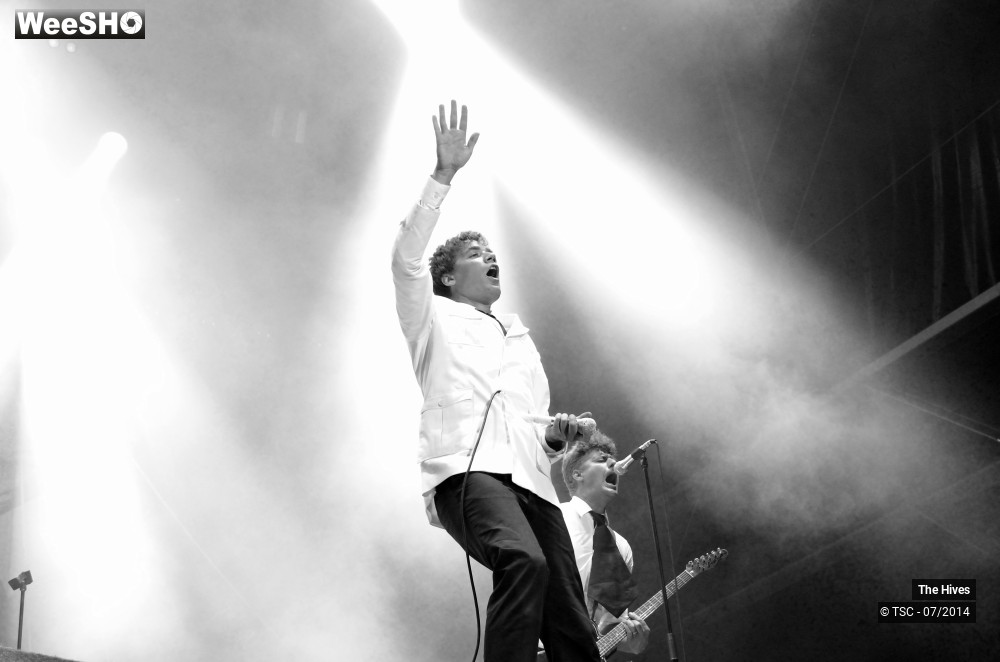 11/40 photos du spectacle The hives