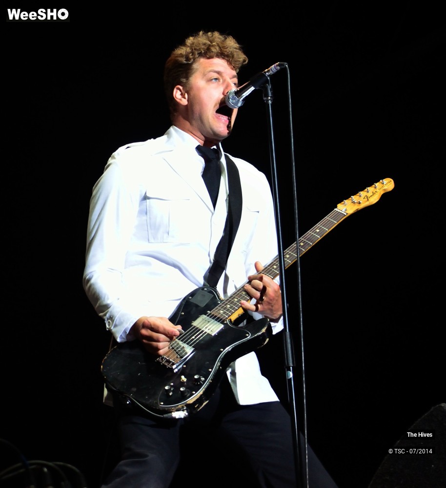 12/40 photos du spectacle The hives