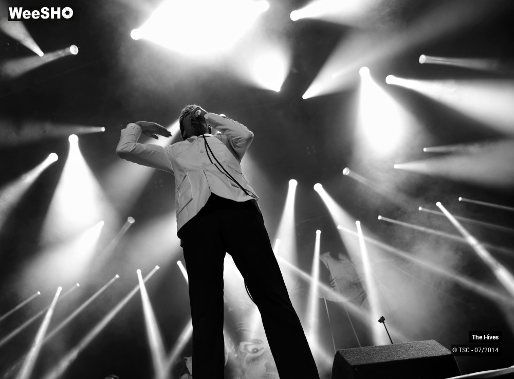 13/40 photos du spectacle The hives