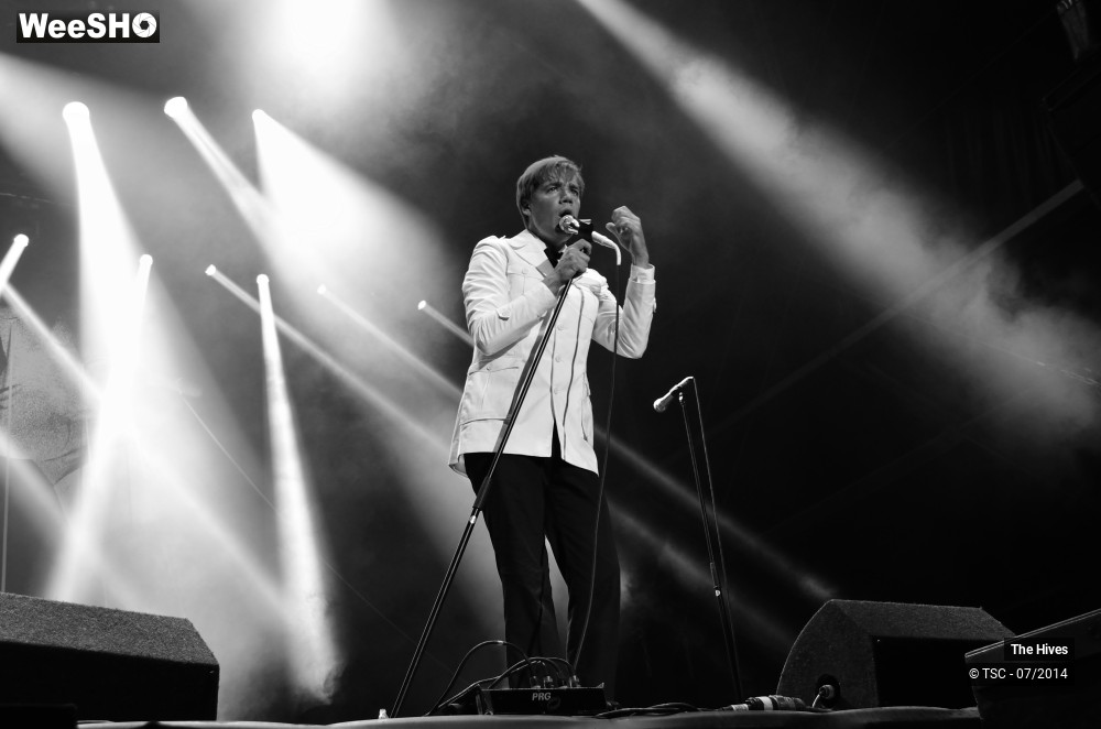 14/40 photos du spectacle The hives