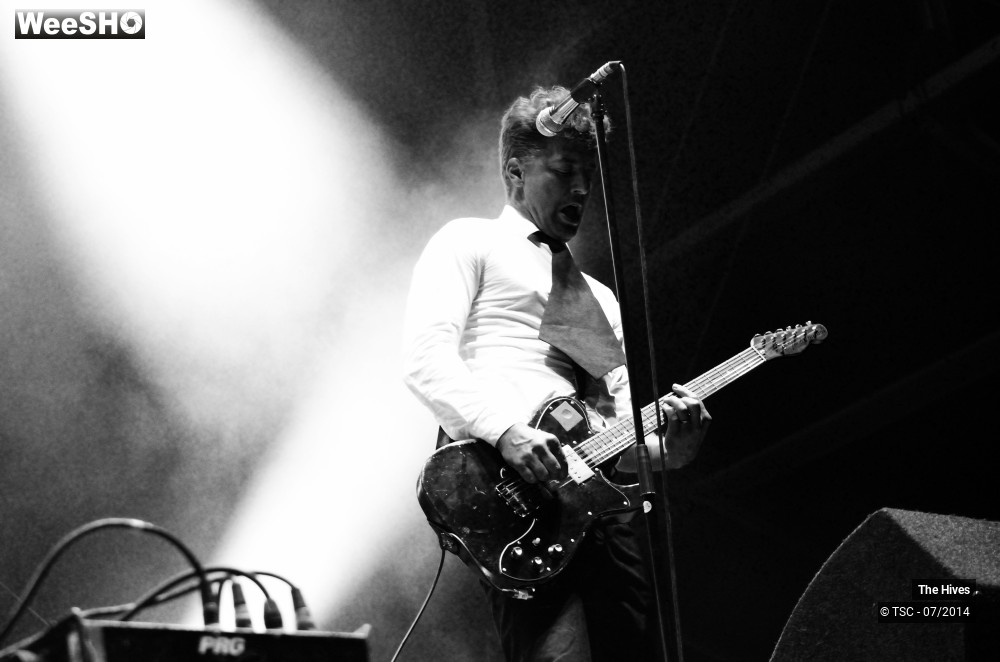 15/40 photos du spectacle The hives