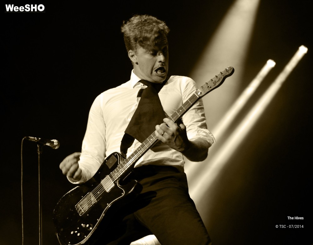 16/40 photos du spectacle The hives