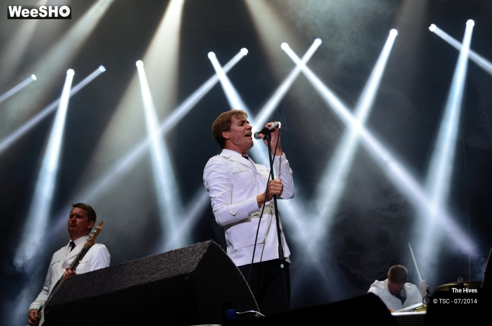 17/40 photos du spectacle The hives