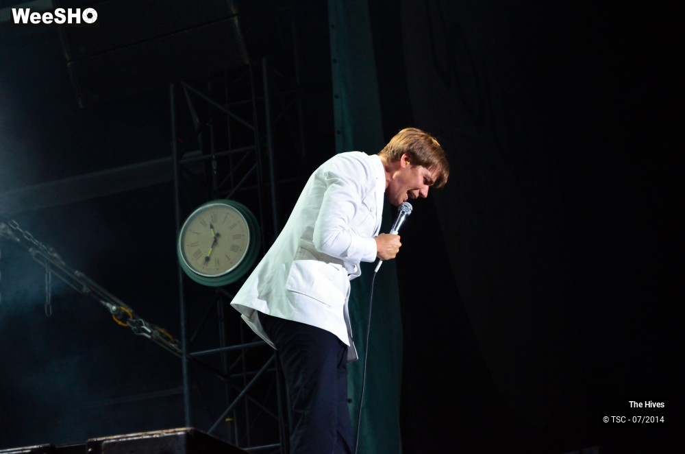 18/40 photos du spectacle The hives
