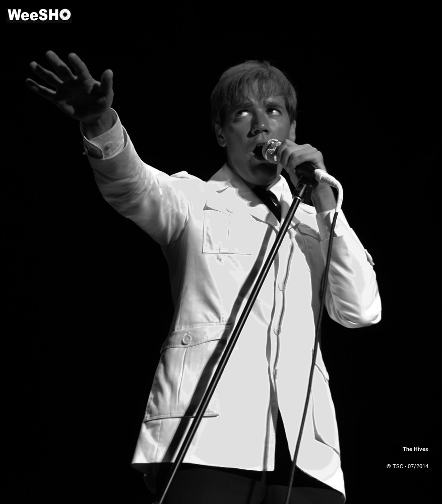 19/40 photos du spectacle The hives