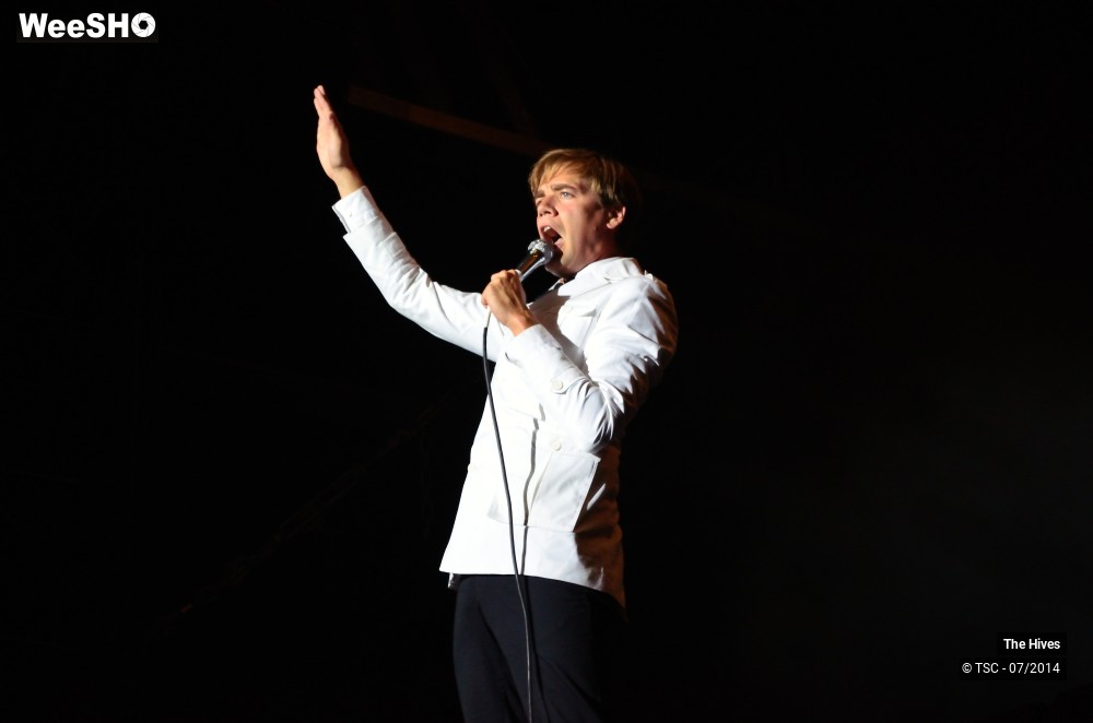 20/40 photos du spectacle The hives