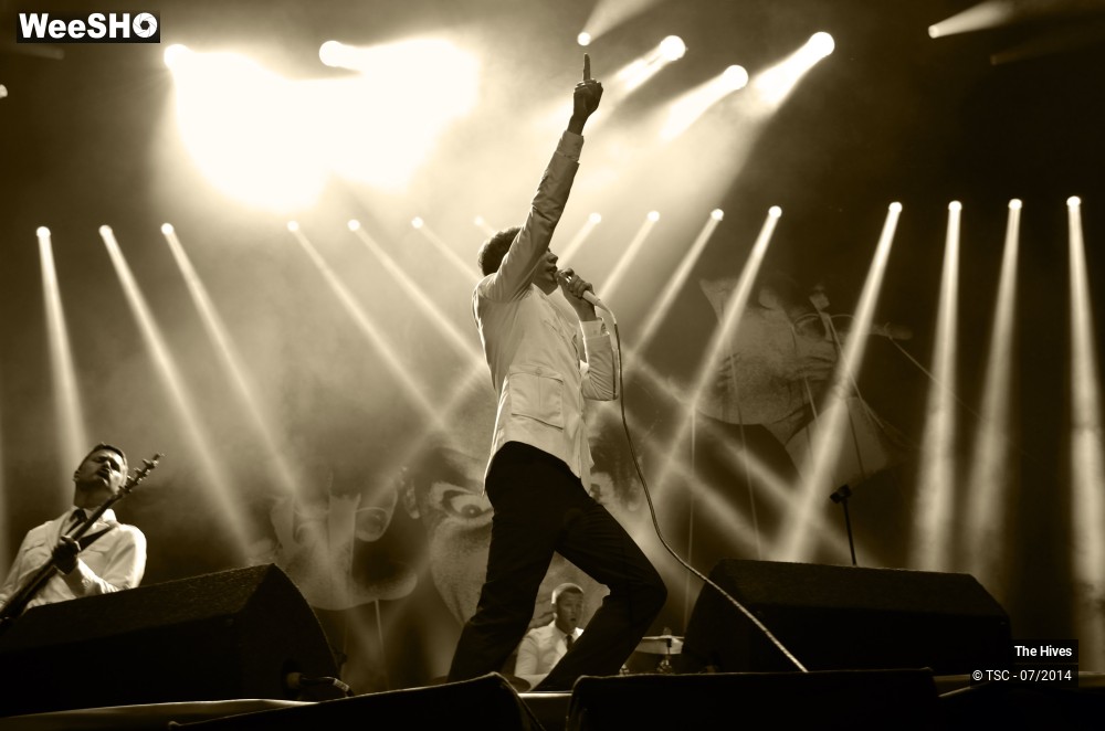 21/40 photos du spectacle The hives