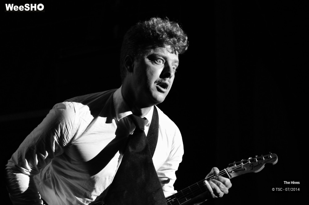 22/40 photos du spectacle The hives