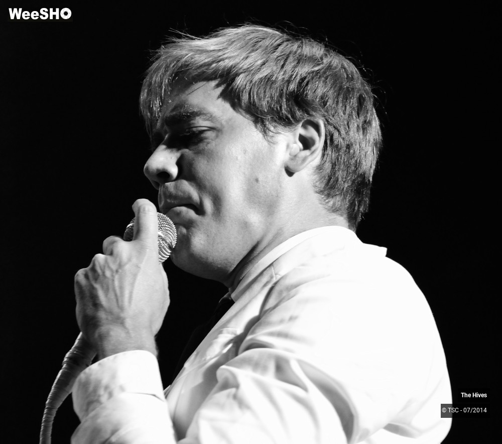 23/40 photos du spectacle The hives