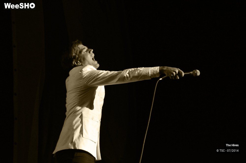 24/40 photos du spectacle The hives