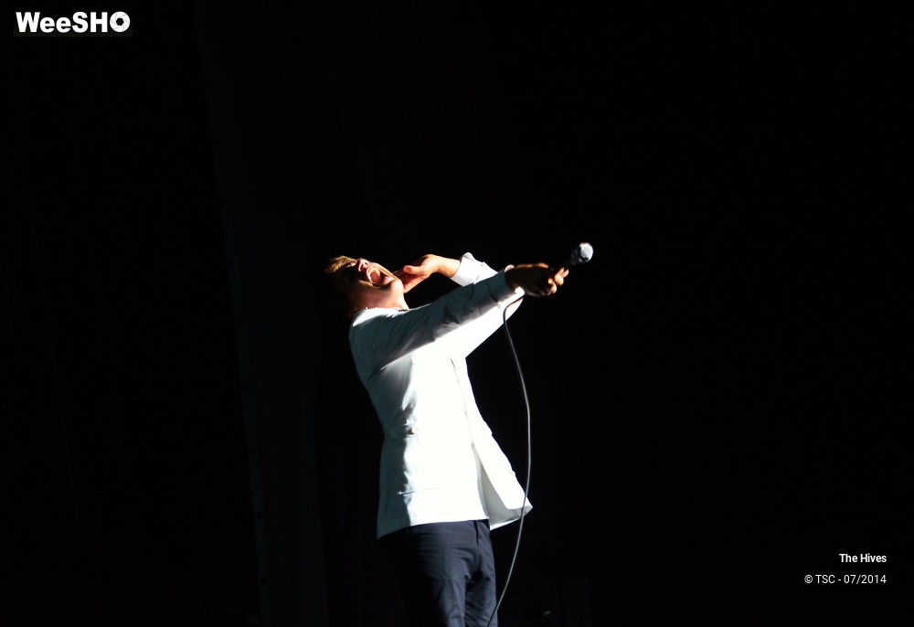 25/40 photos du spectacle The hives