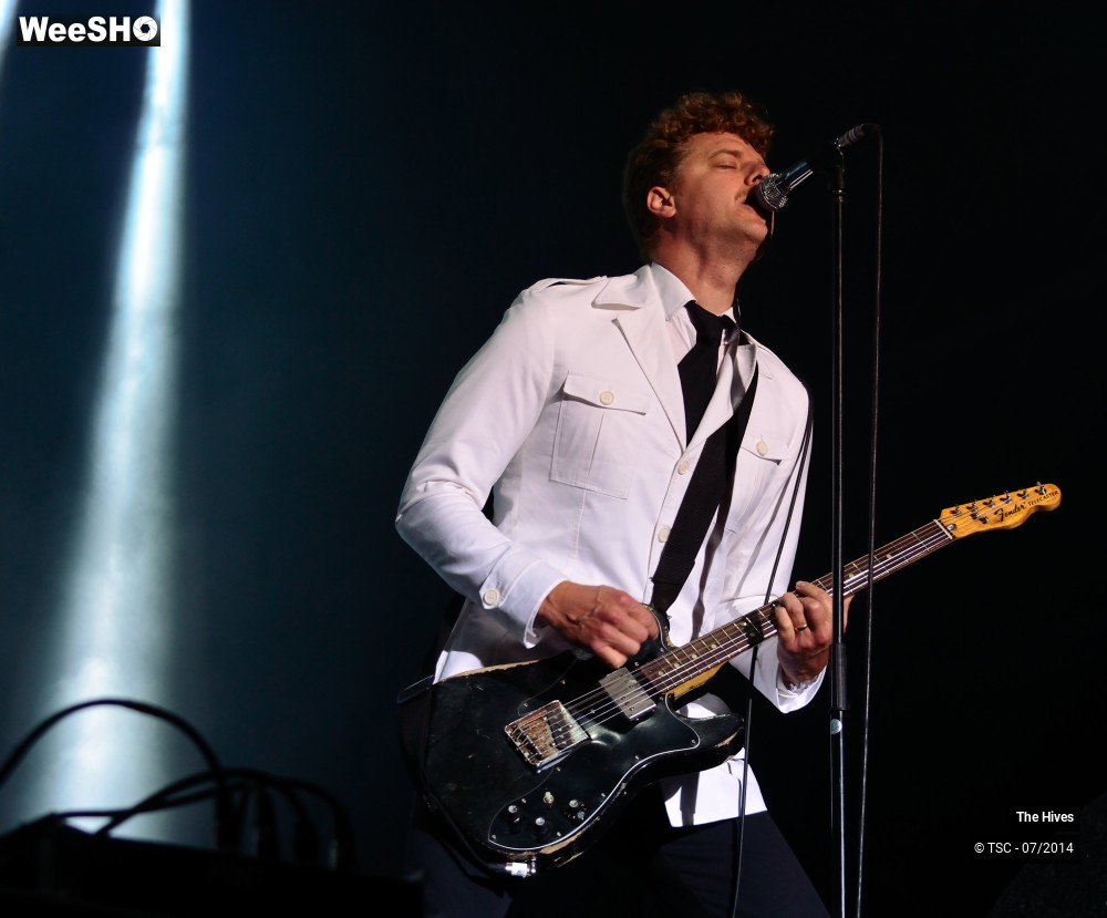 26/40 photos du spectacle The hives
