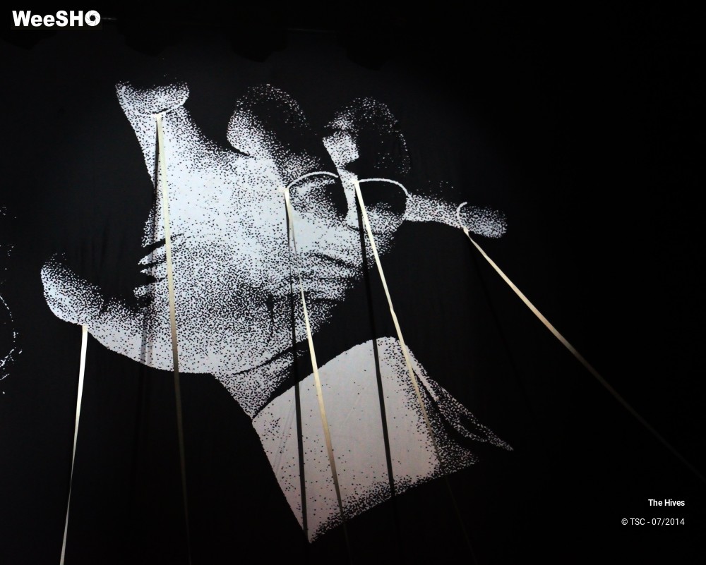 27/40 photos du spectacle The hives