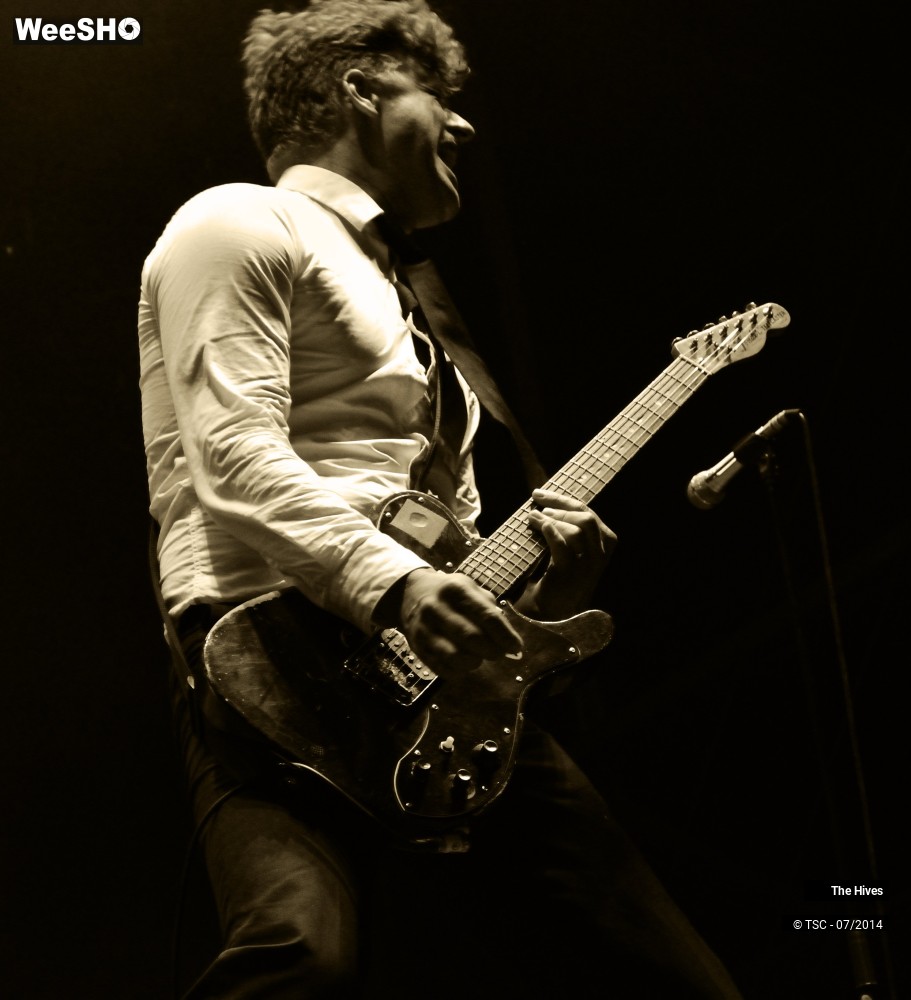 28/40 photos du spectacle The hives