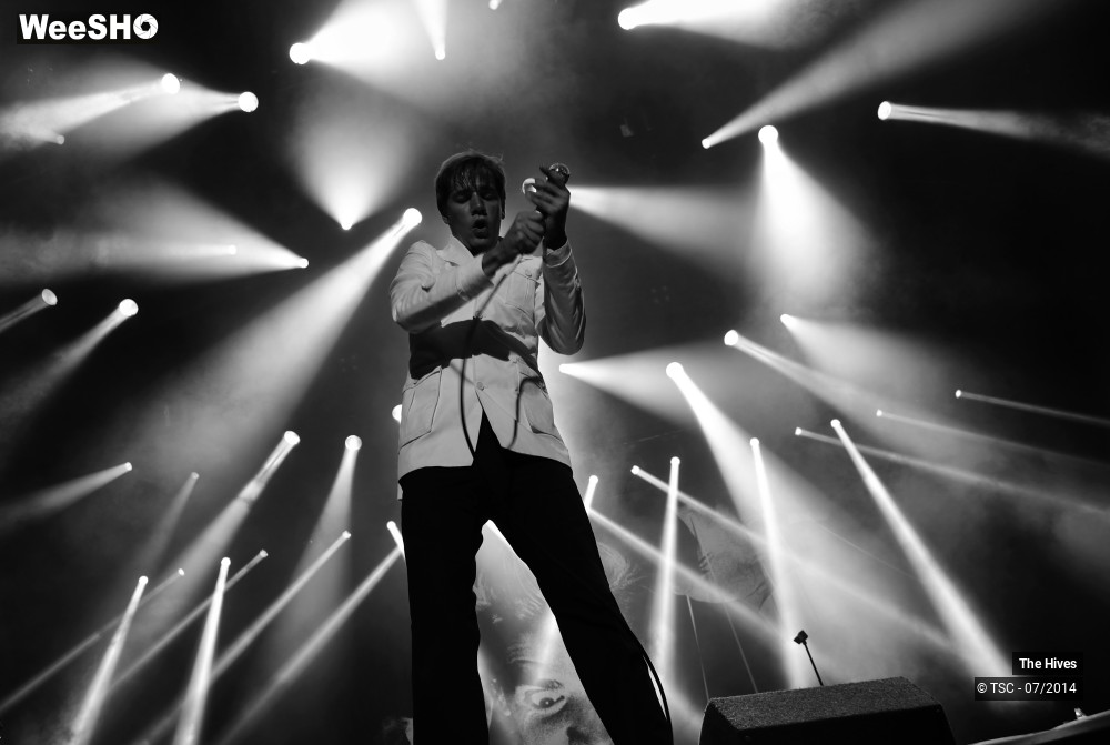 29/40 photos du spectacle The hives