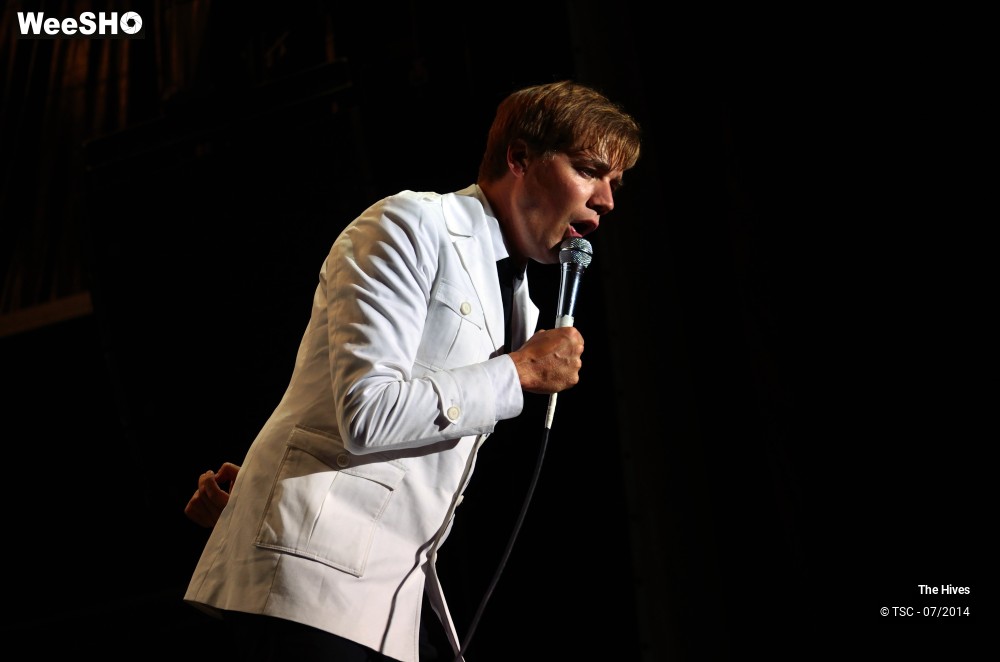 30/40 photos du spectacle The hives