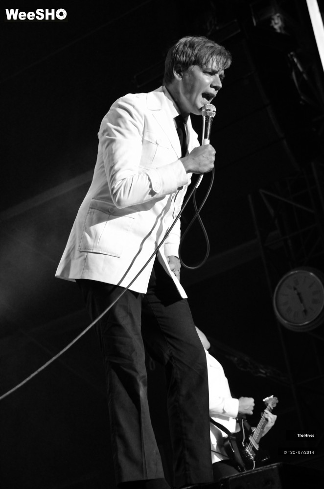 31/40 photos du spectacle The hives