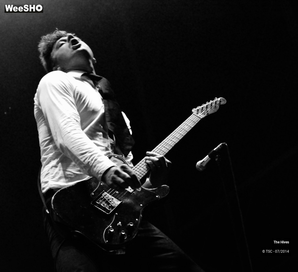 32/40 photos du spectacle The hives